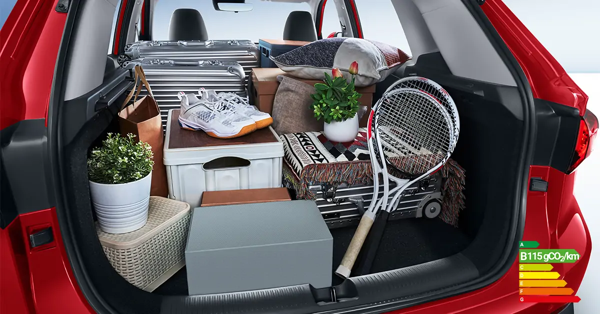 MG de Willermin - MG ZS Hybrid+ - vue coffre
